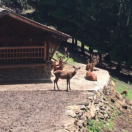 B/B La Locanda Delle Pulci Mezzana  Bagian luar foto